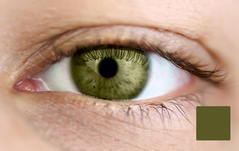 bluegreenmedical-color-verde-palmera-08